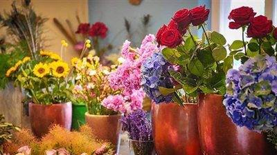 خبيرة طاقة تحذر من الورد المجفف وأشجار الزينة