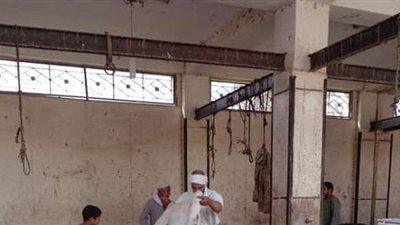 حملات رقابية للطب البيطري على مجازر العجوزة والوراق وأوسيم في عيد الأضحى