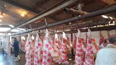 مجازر الزراعة: اللى عايز يذبح أضحيته يجيب جزار معاه ويحاسبه