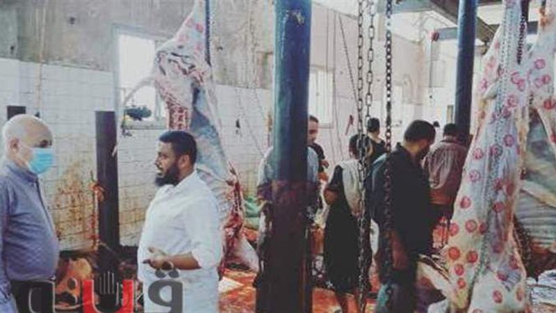 احد المجازر بالشرقية