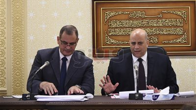 «اقتصادية البرلمان» ترفض رد منى زوبع على طلبات الإحاطة