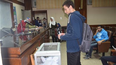 أسماء أمناء اللجان والمساعدين الفائزين بانتخابات فنون جميلة حلوان