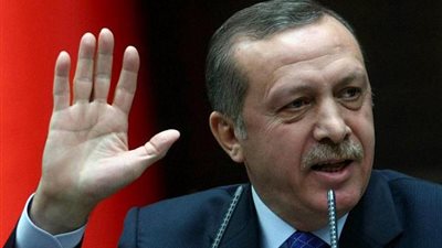 أردوغان يطلب لقاء بوتين في فرنسا الإثنين المقبل