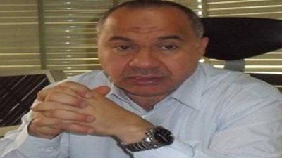 «شعبة المستوردين»: التجار لن يتأثروا بيوم 28 نوفمبر