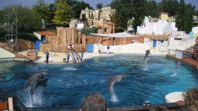 54 % من الفرنسيين يثقون في تخطى بلادهم الأزمة الحالية