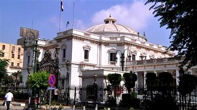 النواب المعينون اختبار جديد لـ«السيسي» أمام الشعب.. نافعة: التعيينات لن تصلح ما أفسدته الانتخابات.. إبراهيم: أتمنى أن يكونوا من الشباب.. هاشم ربيع: يجب أن يأتي بخبرات غير موجودة بالبرلمان