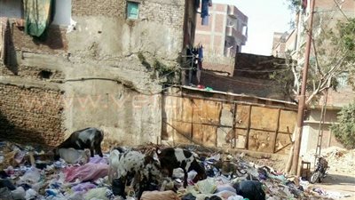 بالصور.. تلال القمامة تحاصر أهالي السيالة بدمياط