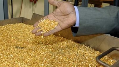 شحن 353 كيلو ذهب من منجم السكري بمطار القاهرة إلى كندا