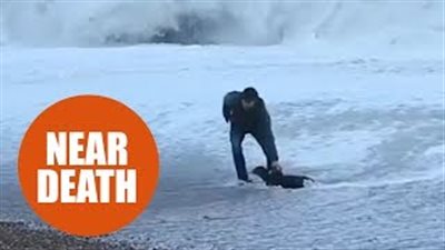 امرأة تقفز بين الأمواج الهائلة لإنقاذ كلبها (فيديو وصور)