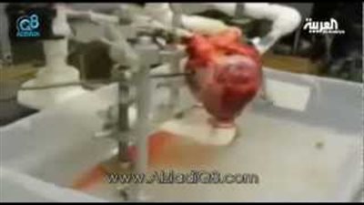 بالفيديو.. حيل إعادة الموتى إلى الحياة.. شركة أمريكية تزعم استخدام تكنولوجيا النانو لإحياء الأموات.. جامعة «ستوني بروك»: انخفاض درجة الحرارة ينشط خلايا المخ.. و«عثمان»: مسكنات لا ت