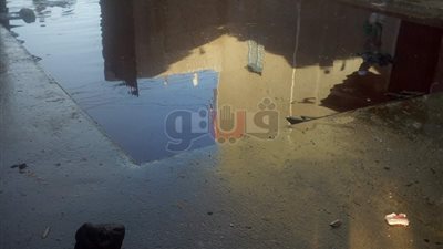 «سلخانة المنشأة».. كارثة بيئية وسط تجمعات سكانية في سوهاج (صور)