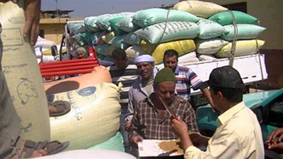 توريد 711. 76 طن قمح فى قنا للشون والصوامع