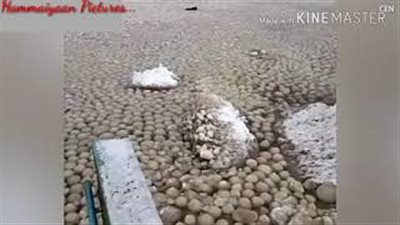 سر ظهور آلاف الكرات الثلجية على ساحل روسي (فيديو)