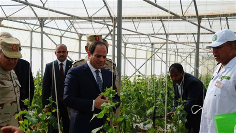 الرئيس عبد الفتاح