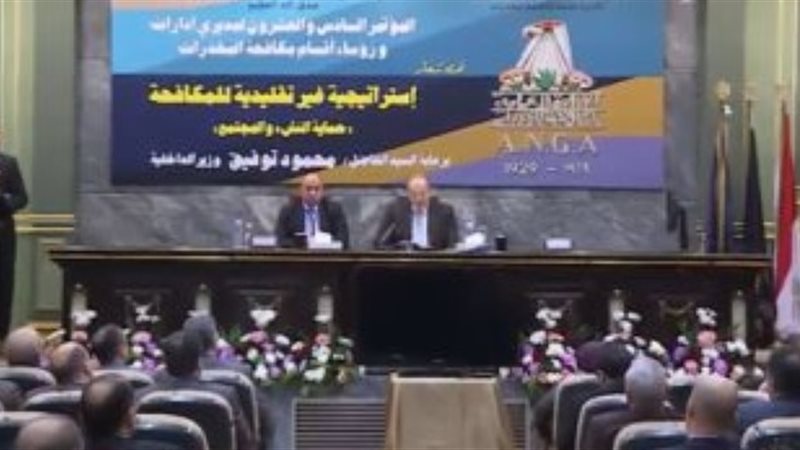 صورة ارشيفيه