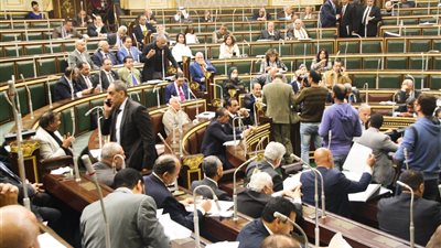 «نواب البرلمان» يضعون خطة لمواجهة المبيدات والأسمدة المغشوشة