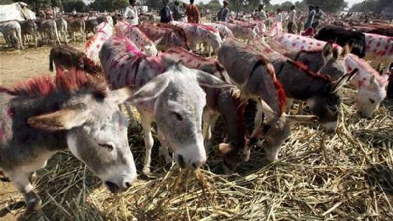 صورة ارشيفية