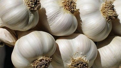 هل تناول الثوم يساعد في ضبط الكوليسترول في الدم؟
