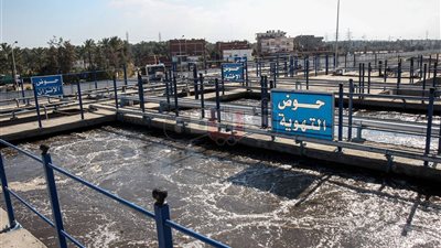 هيئة ميناء دمياط تنشئ شبكة لري الزراعات غير المثمرة