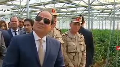 السعيطي: مشروع الصوب الزراعية سيحدث طفرة هائلة في الصادرات المصرية