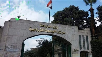 البحوث الزراعية: انتهاء مشروع الصوب على مساحة 100 ألف فدان نهاية 2019