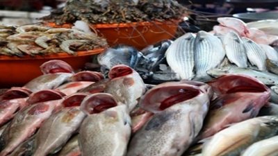 «غرفة القاهرة»: استقرار أسعار الأسماك بالأسواق