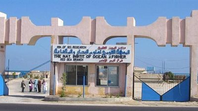 علوم البحار يعقد ندوة عن الأسماك المهددة بالانقراض في البحر الأحمر.. غدا