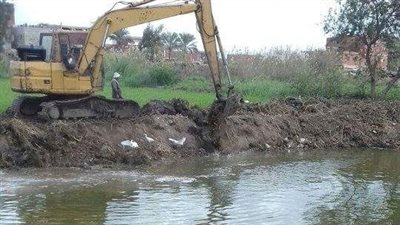 إزالة مزرعة سمكية مخالفة في دمياط (صور)