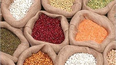 5 جنيهات لكيلو الأرز «سائب» بالبحر الأحمر.. اليوم