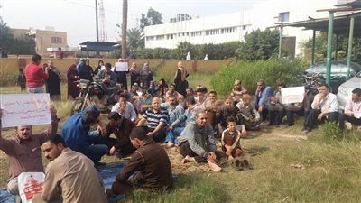 إضراب أصحاب شقق الإسكان الاجتماعي بالمنوفية عن الطعام