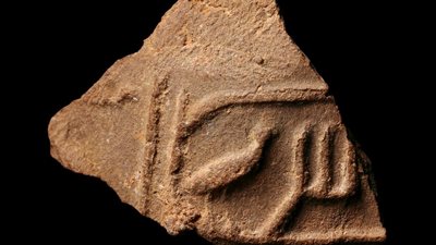 «الآثار»: اكتشافات جديدة في أسوان (صور)