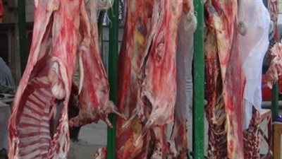 استقرار أسعار اللحوم والأسماك بالأسواق