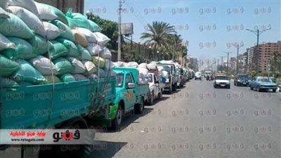 تسليم 199 ألف طن قمح لشون الغربية