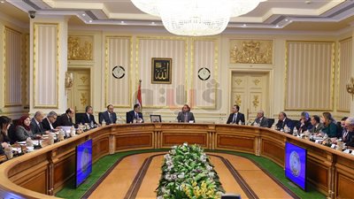 القائم بأعمال رئيس الوزراء يتابع مشروعات الصحة والنقل