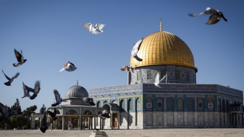 صورة أرشيفية