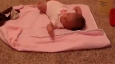 بالفيديو.. كلب يحمي طفلة صغيرة من الخطر