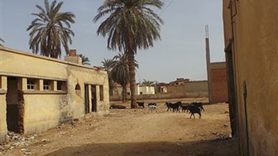 الوحدات الصحية المستأجرة.. «مستشفيات على ما تفرج » في قرى الفيوم