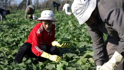 مصر تبدي استعدادها لتقديم الخبرة لنيجيريا في مجالات الزراعة والري والطاقة