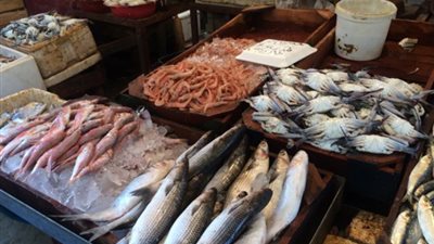 «ماكريل مجمد» يسجل 15 جنيهًا بسوق العبور