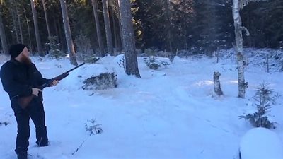 أغرب طريقة لقطع الأشجار (فيديو وصور)