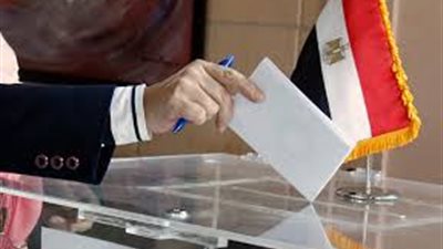 باحث: مطالبة الجماعة الإسلامية بدخول معترك الانتخابات الرئاسية حماقة