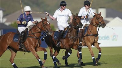 بالفيديو والصور.. أمير بريطانيا يسقط من على ظهر حصانه