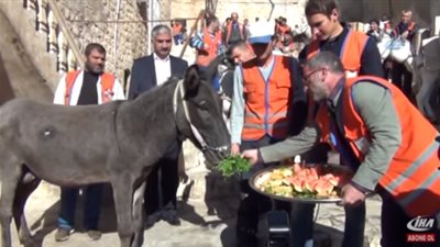 حفل رسمي في تركيا لإحالة حمير على المعاش (فيديو)
