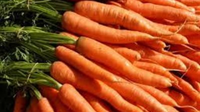 الجزر يقاوم السرطان ويحمى الجسم من الالتهابات