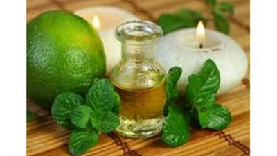 8 فوائد مميزة لزيت النعناع.. اكتشفيها