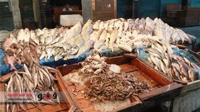 تباين أسعار الأسماك بالمحافظات