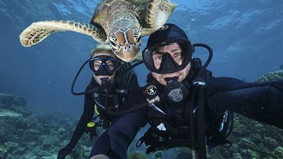 سلحفاة تفاجئ غواصا وحبيبته خلال صورة سيلفي (صور)