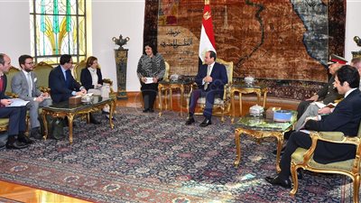 وزيرة دفاع فرنسا تؤكد للسيسي دعم بلادها لمصر في مكافحة الإرهاب