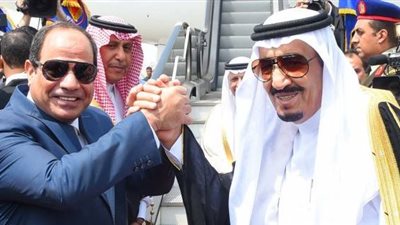 أبرز إنجازات الدبلوماسية المصرية خلال 2018