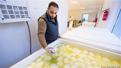 قصة نجاح لاجئ.. جبنة شامية تغزو الأسواق الألمانية